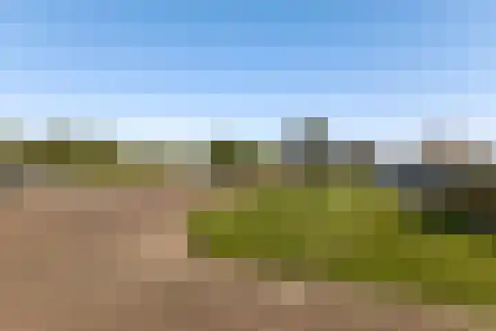Syl 1000 Terherne thumbnail 19