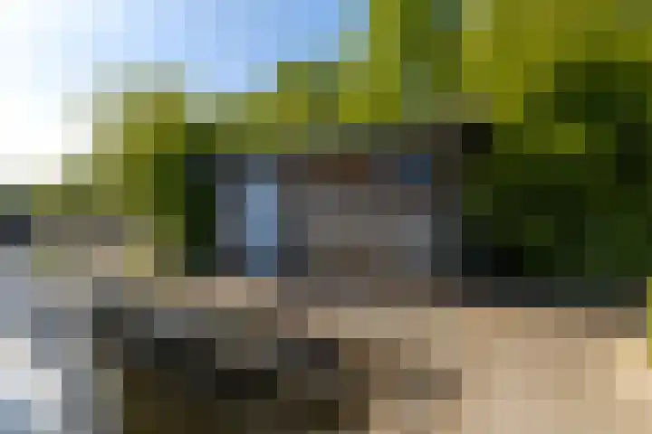 Syl 1000 Terherne thumbnail 20