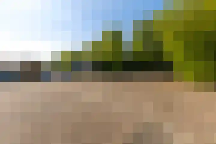 Syl 1000 Terherne thumbnail 23