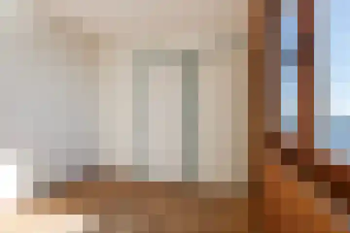Syl 1000 Terherne thumbnail 32