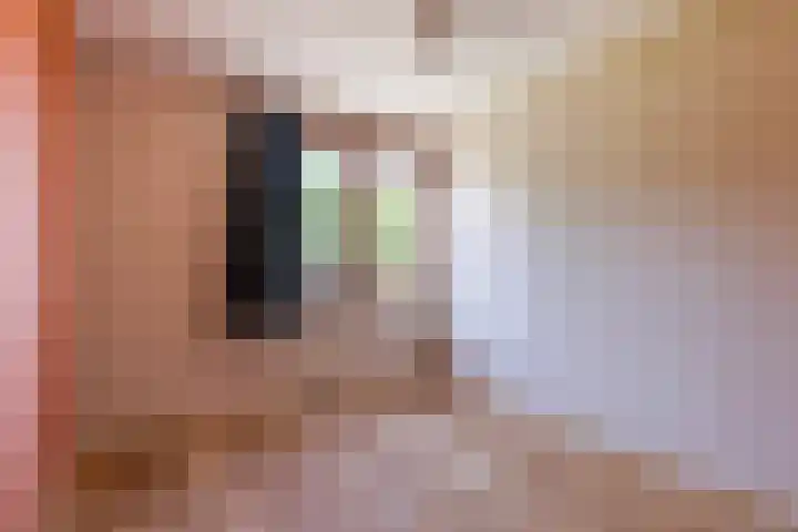 Syl 1000 Terherne thumbnail 35
