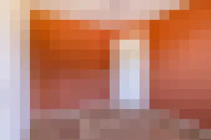 Syl 1000 Terherne thumbnail 36