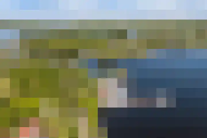 Syl 1000 Terherne thumbnail 4