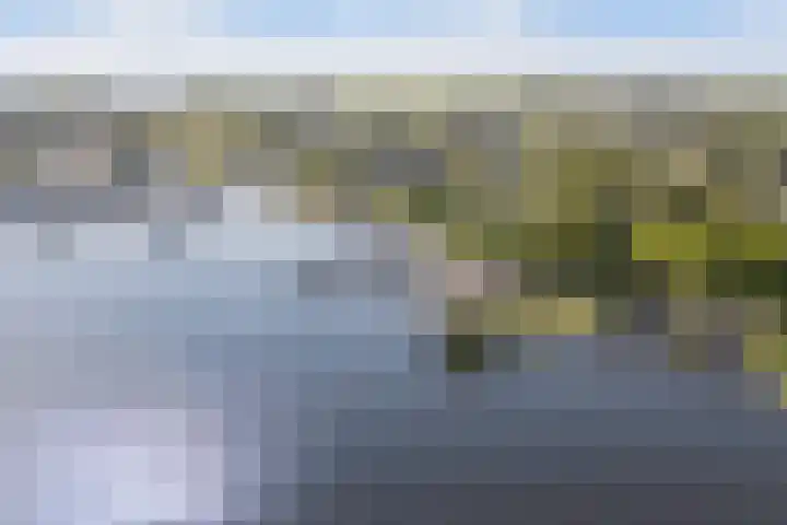 Syl 1000 Terherne thumbnail 5