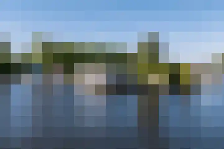 Syl 1000 Terherne thumbnail 6