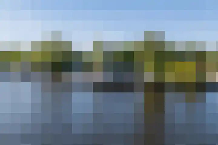 Syl 1000 Terherne thumbnail 7
