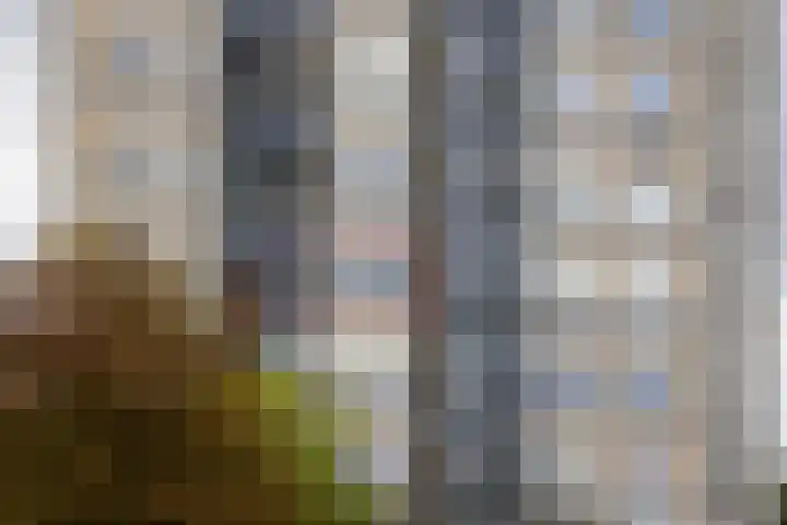 Symfonie 12 Uden thumbnail 18