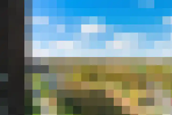 Symfonie 12 Uden thumbnail 28