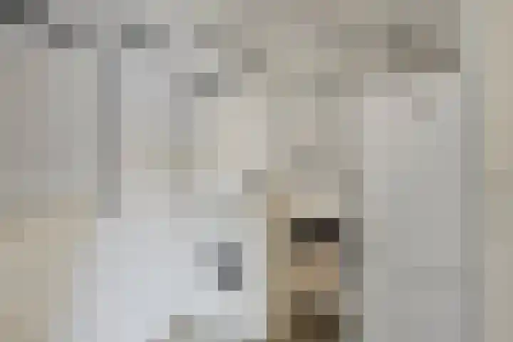 Symfonie 12 Uden thumbnail 28