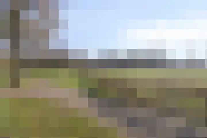 Symfonie 12 Uden thumbnail 30