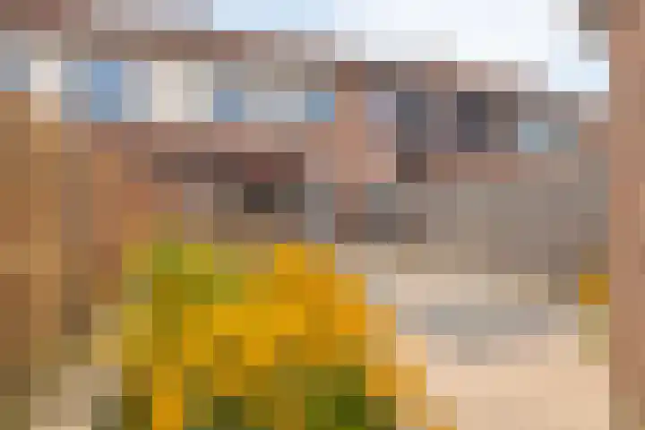 Symfonie 12 Uden thumbnail 5