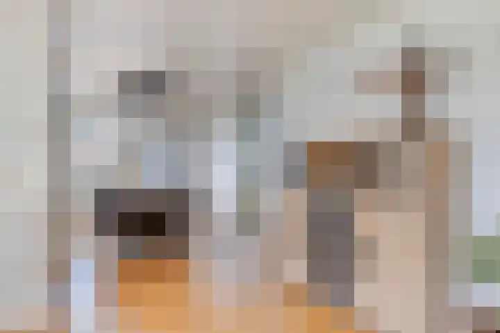 Symfonie 13 Uden thumbnail 14