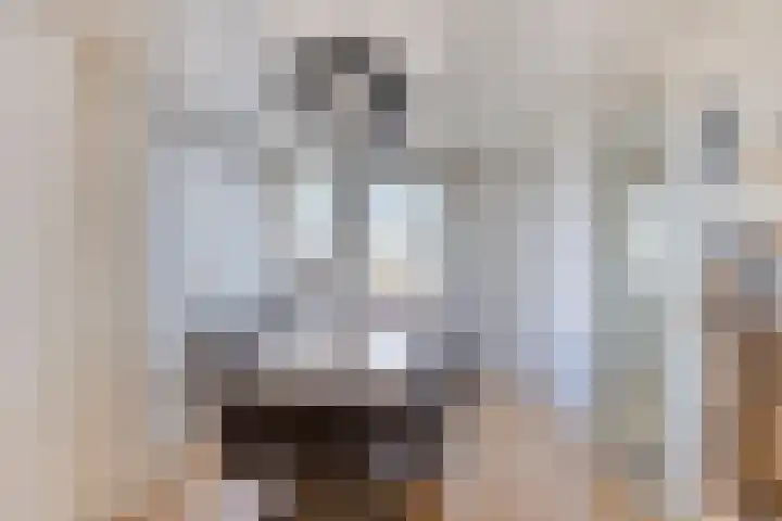 Symfonie 13 Uden thumbnail 15