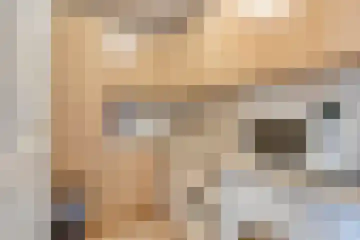 Symfonie 13 Uden thumbnail 20