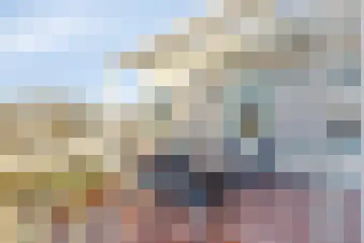 Symfonie 13 Uden thumbnail 28