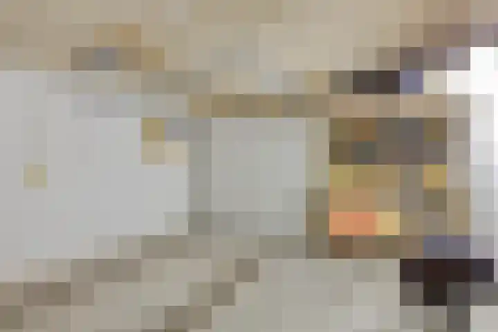 Symfonie 13 Uden thumbnail 34
