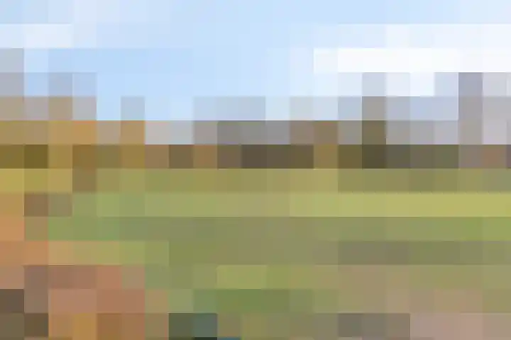 Symfonie 13 Uden thumbnail 38