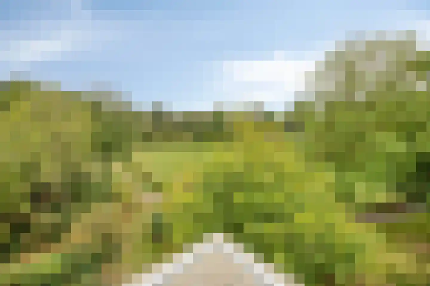 Symfonie 18 Uden thumbnail 26