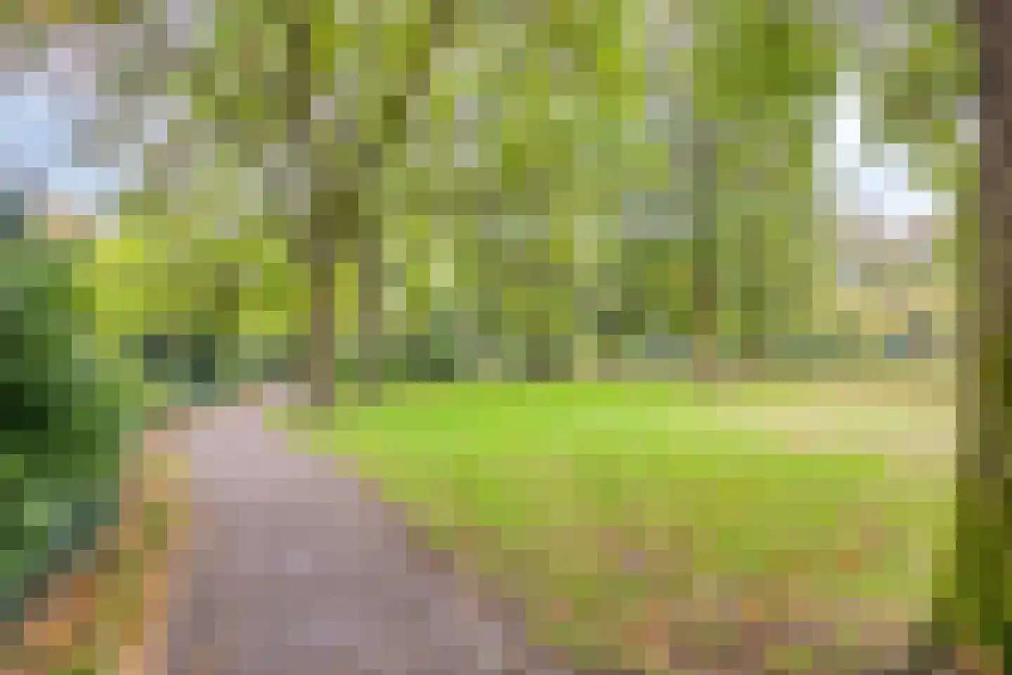 Symfonie 18 Uden thumbnail 40