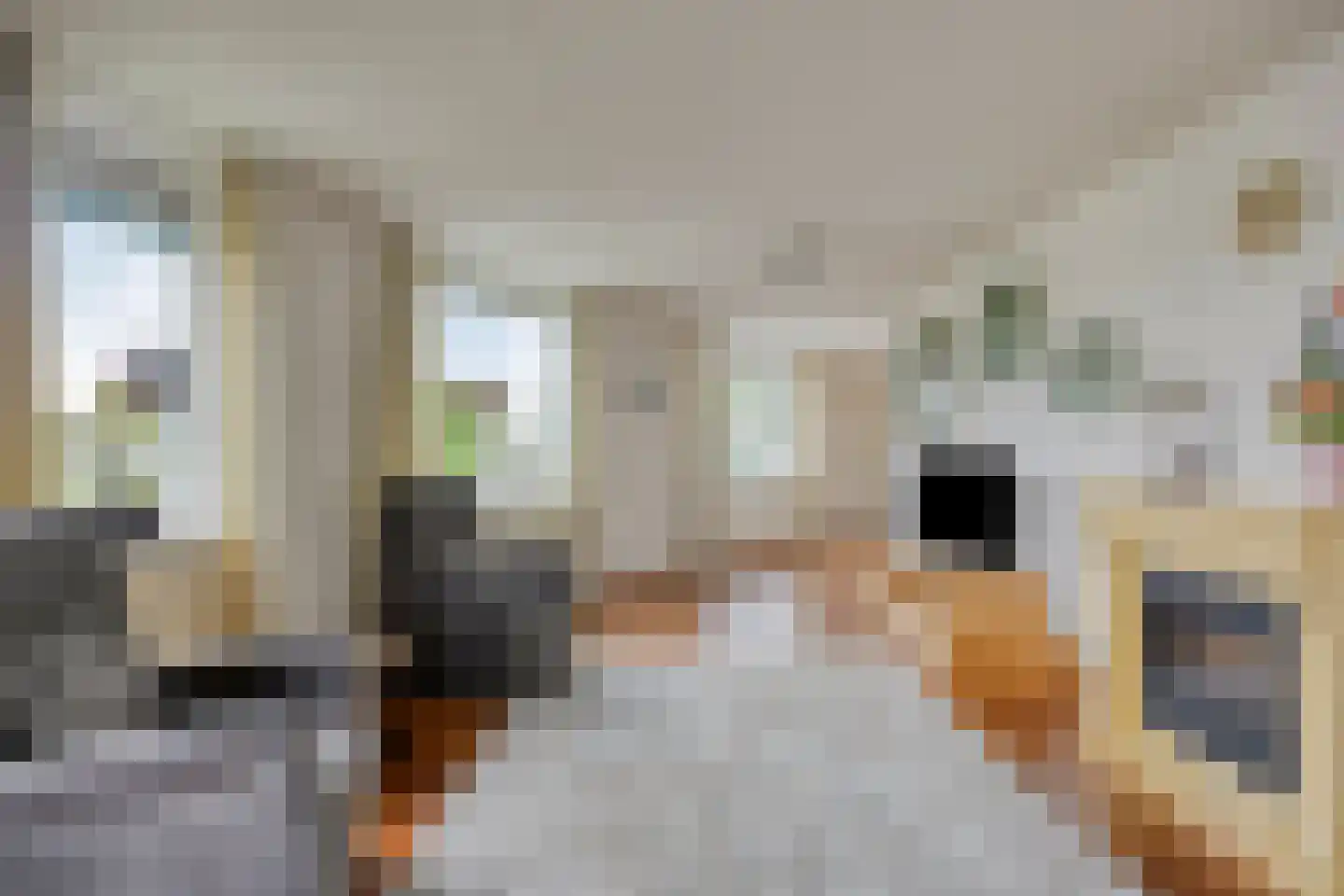 Symfonie 18 Uden thumbnail 6
