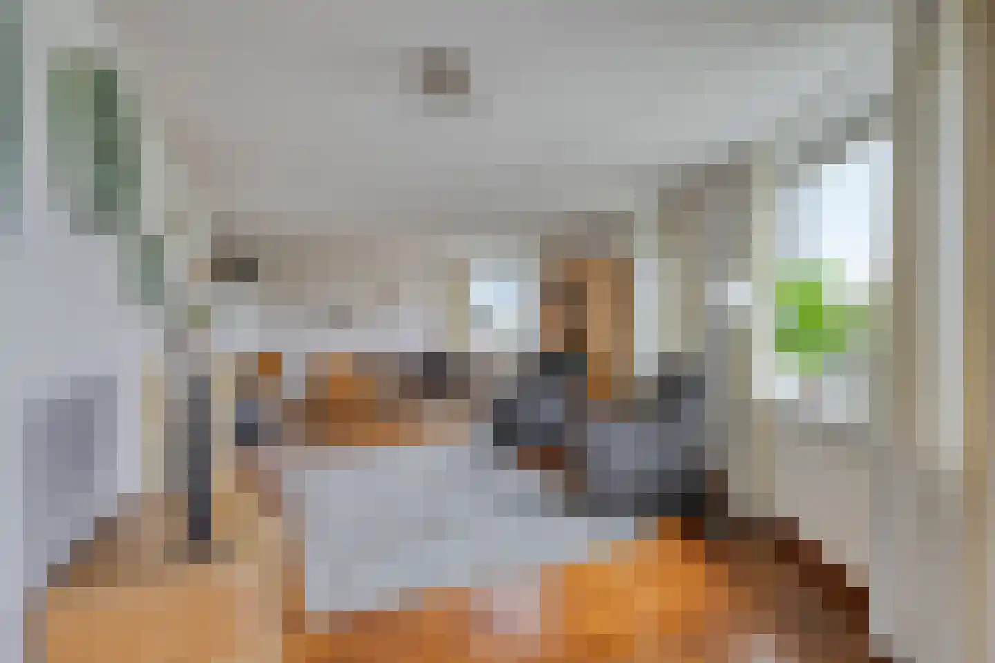 Symfonie 18 Uden thumbnail 7