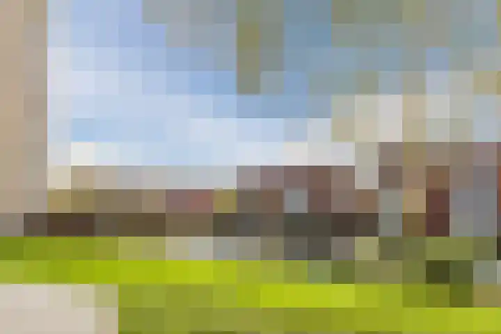 Symfonie 51 Zaandam thumbnail 32