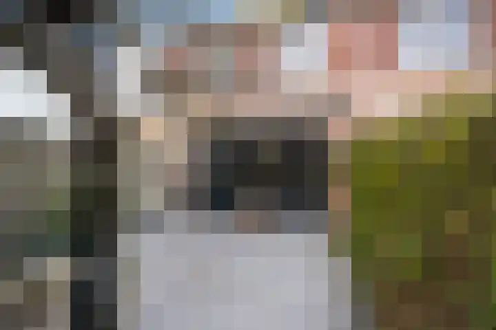 Symfonie 55 Honselersdijk thumbnail 11