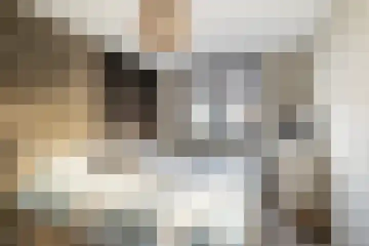 Symfonie 55 Honselersdijk thumbnail 14