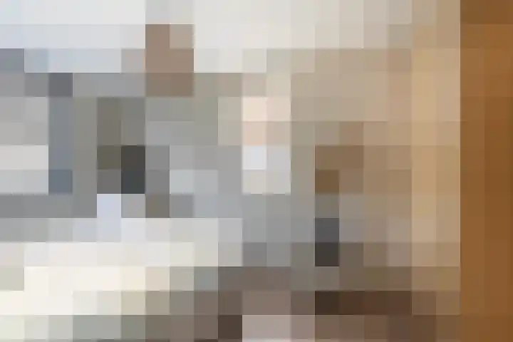 Symfonie 55 Honselersdijk thumbnail 15