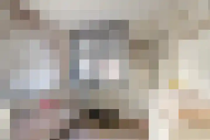 Symfonie 55 Honselersdijk thumbnail 20