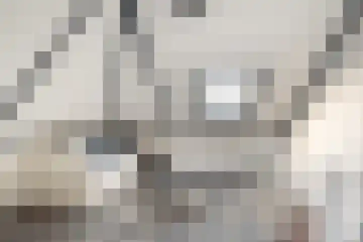 Symfonie 55 Honselersdijk thumbnail 25