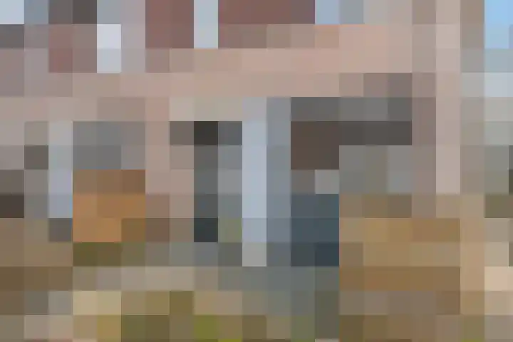 Symfonie 55 Honselersdijk thumbnail 28