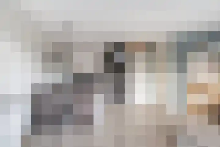 Symfonie 55 Honselersdijk thumbnail 6