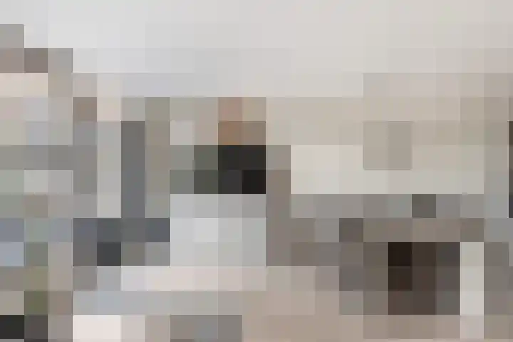 Symfonie 55 Honselersdijk thumbnail 7