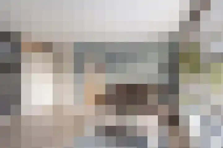 Symfonie 55 Honselersdijk thumbnail 8