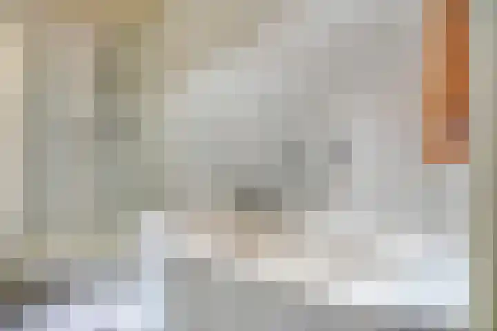 Symfonie 7 Uden thumbnail 14