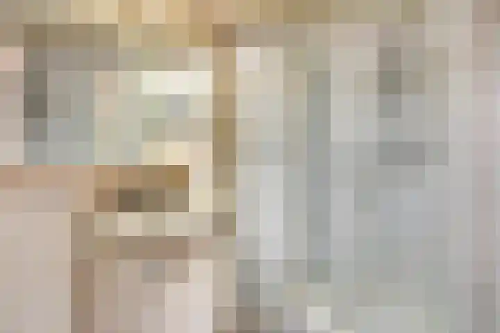 Symfonie 7 Uden thumbnail 15