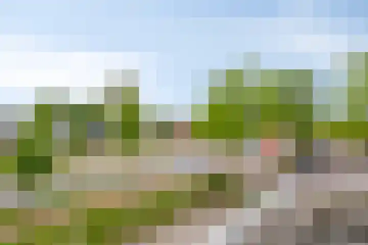 Symfonie 7 Uden thumbnail 22