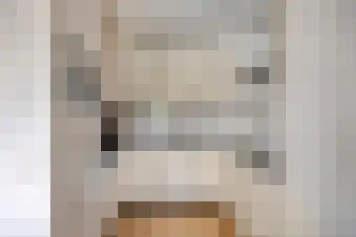 Symfonie 7 Uden thumbnail 9