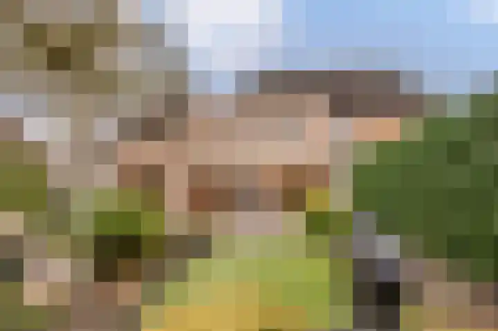 Logo Synchro Wonen NVM Makelaars