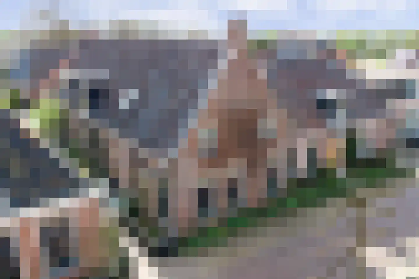 Sytse Klases Steech 1 in Ie