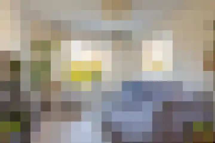 Sytwinde 130 Nootdorp thumbnail 4