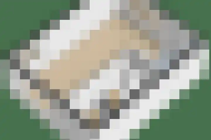 Sytwinde 130 Nootdorp thumbnail 41