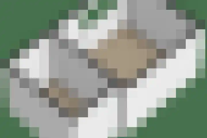 Sytwinde 130 Nootdorp thumbnail 44