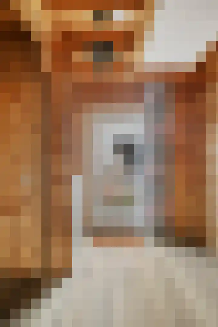 't Beusje 15 Vledder thumbnail 13
