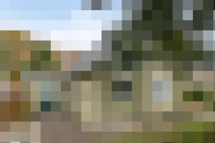 't Beusje 15 Vledder foto 2