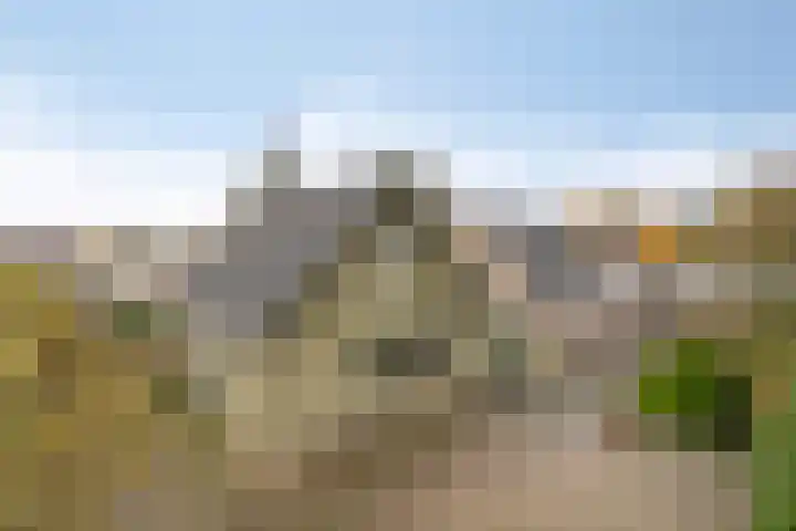 't Beusje 15 Vledder foto 3