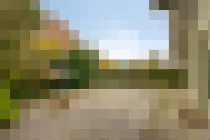 't Beusje 15 Vledder thumbnail 31
