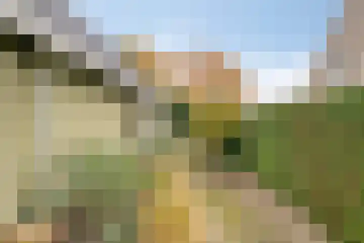 't Beusje 15 Vledder thumbnail 34