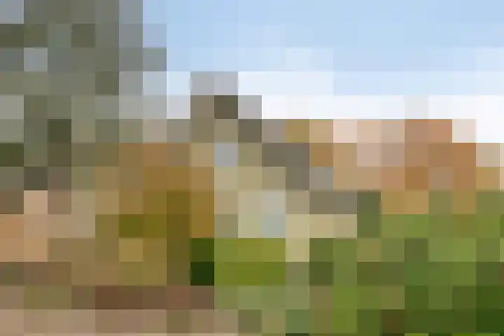 't Beusje 15 Vledder thumbnail 36